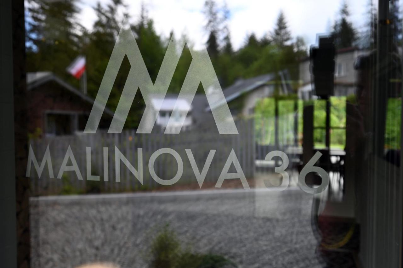 Malinova 36 Διαμέρισμα Wisła Εξωτερικό φωτογραφία